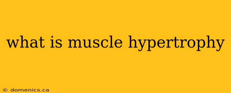 what is muscle hypertrophy