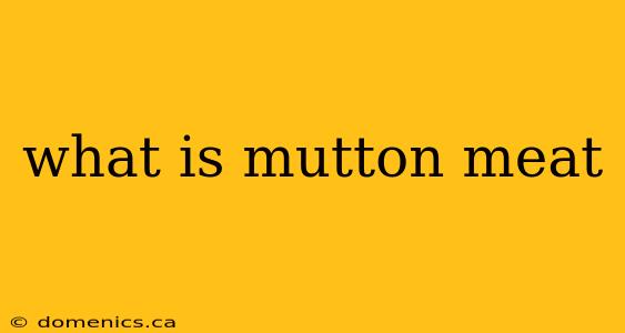 what is mutton meat