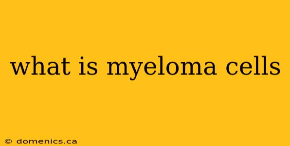 what is myeloma cells