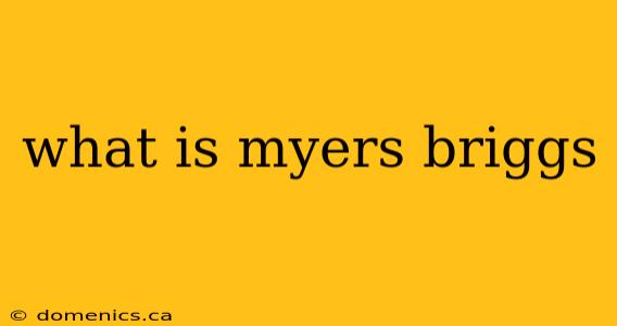 what is myers briggs