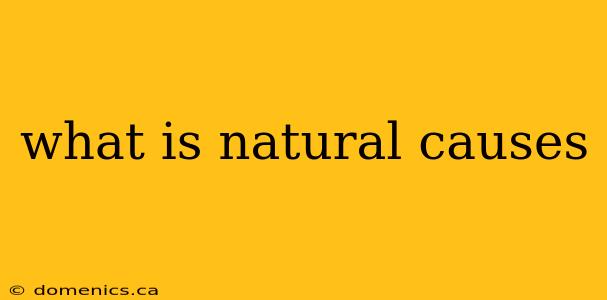 what is natural causes