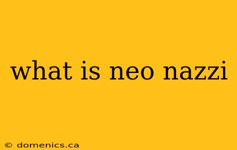 what is neo nazzi