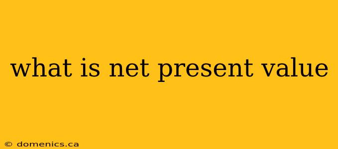 what is net present value