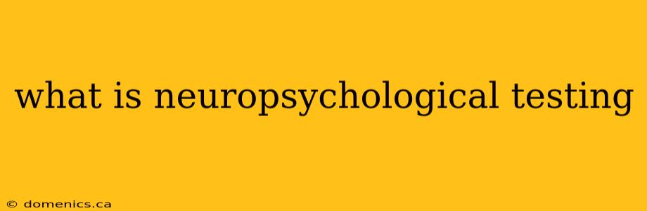 what is neuropsychological testing