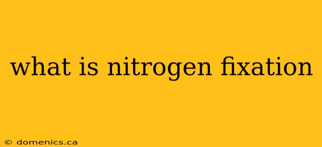 what is nitrogen fixation