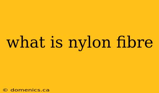 what is nylon fibre