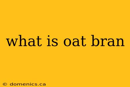 what is oat bran