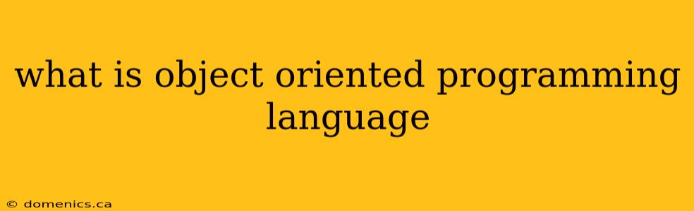 what is object oriented programming language