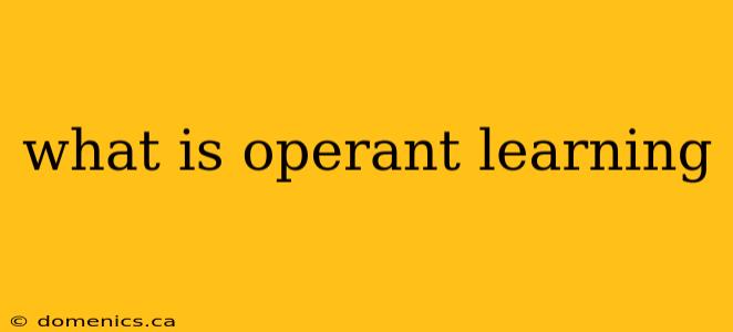 what is operant learning