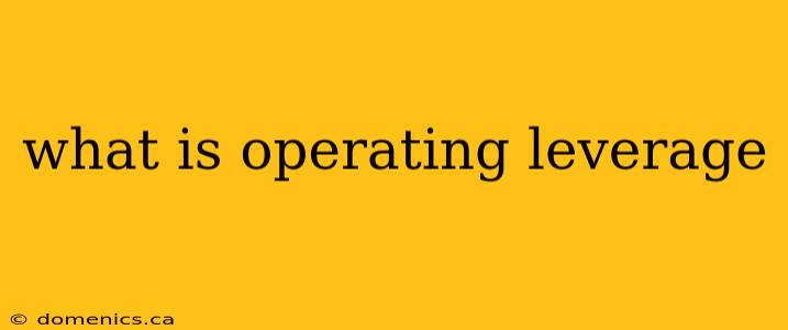 what is operating leverage