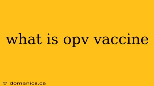 what is opv vaccine