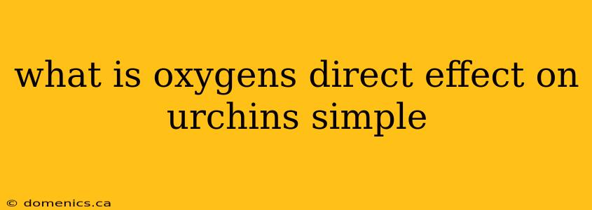 what is oxygens direct effect on urchins simple