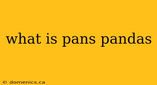 what is pans pandas