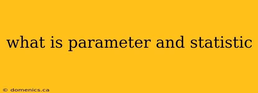 what is parameter and statistic