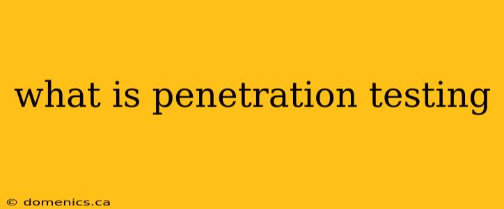 what is penetration testing