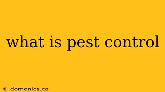 what is pest control