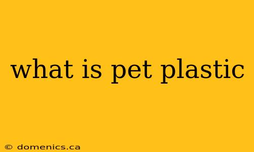 what is pet plastic