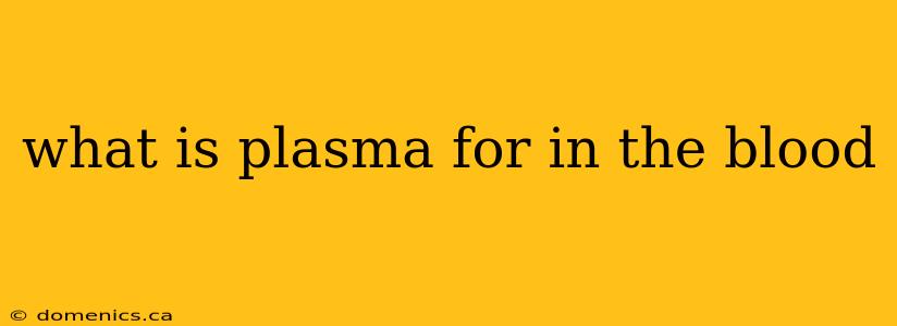 what is plasma for in the blood