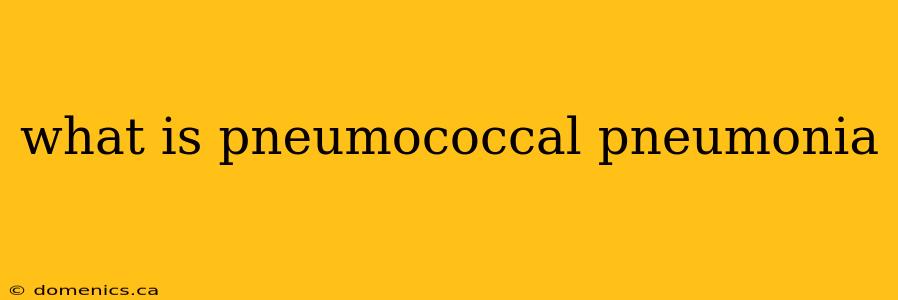 what is pneumococcal pneumonia