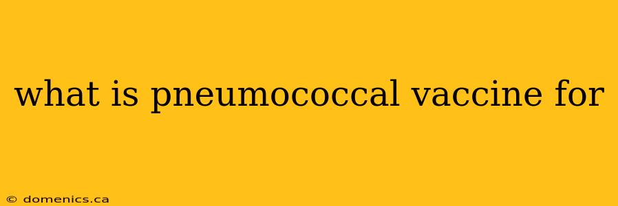 what is pneumococcal vaccine for