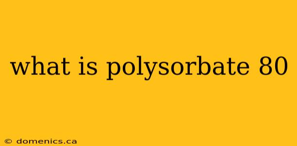 what is polysorbate 80