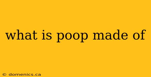 what is poop made of