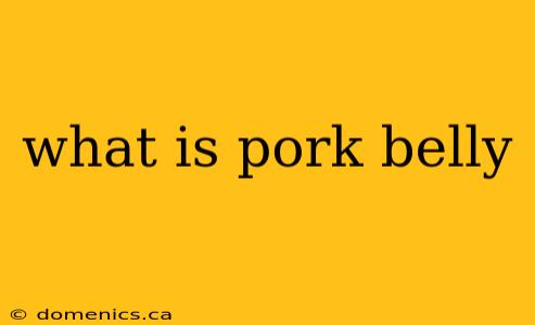 what is pork belly