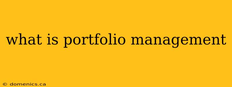 what is portfolio management