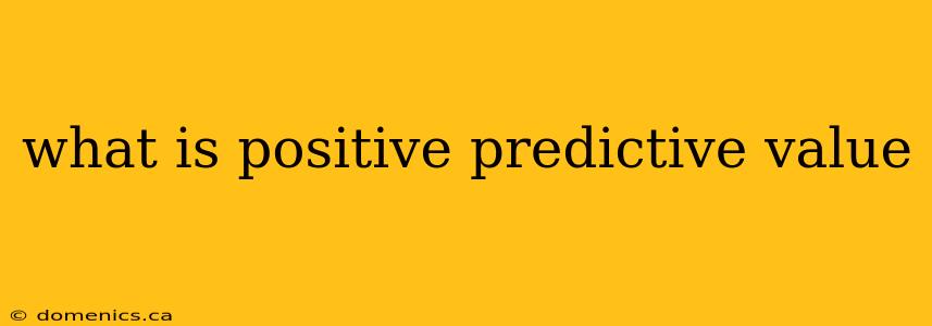 what is positive predictive value