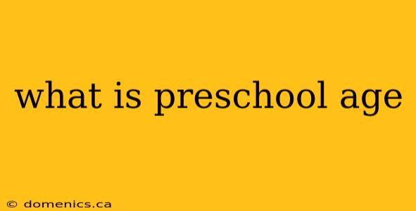 what is preschool age