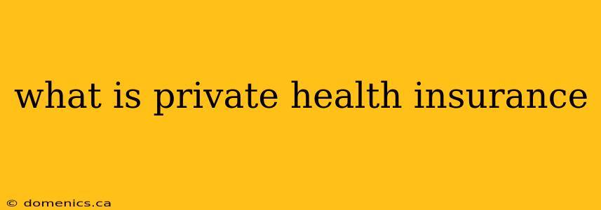 what is private health insurance