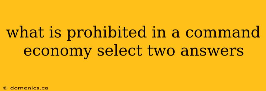 what is prohibited in a command economy select two answers