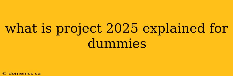 what is project 2025 explained for dummies