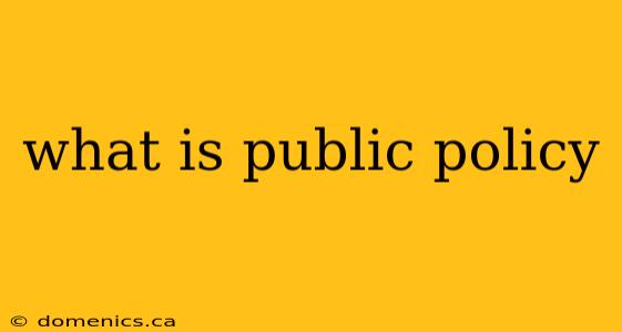 what is public policy