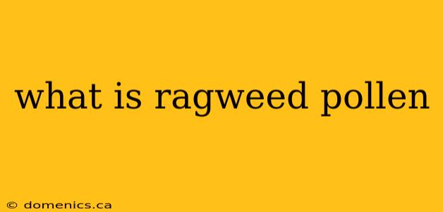 what is ragweed pollen