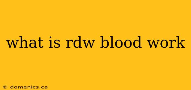 what is rdw blood work