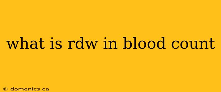 what is rdw in blood count