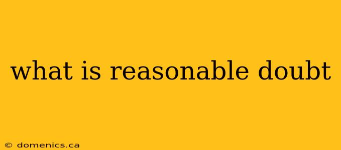 what is reasonable doubt