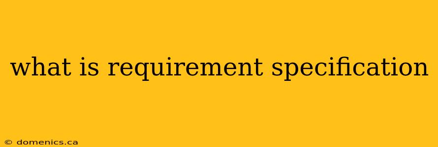 what is requirement specification