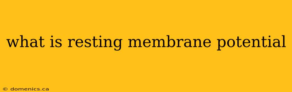 what is resting membrane potential