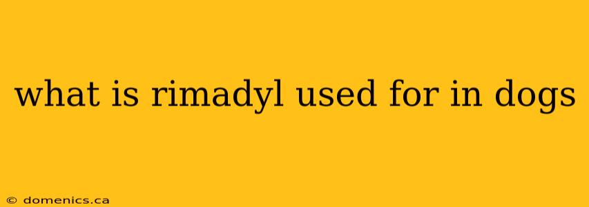 what is rimadyl used for in dogs