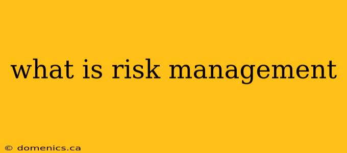 what is risk management