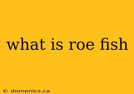 what is roe fish