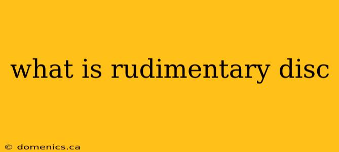 what is rudimentary disc