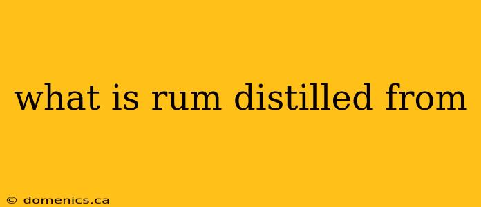 what is rum distilled from