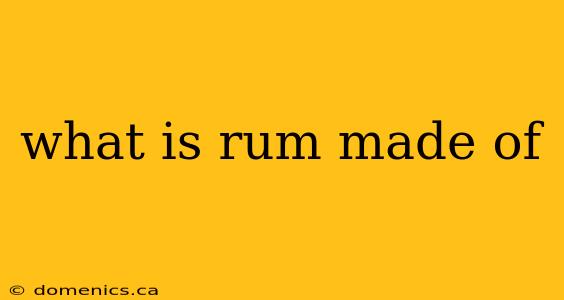 what is rum made of