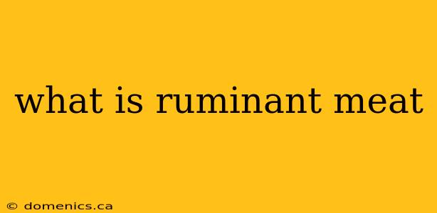 what is ruminant meat