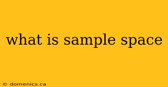 what is sample space