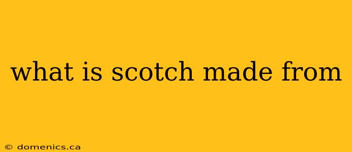 what is scotch made from