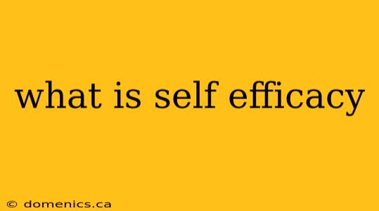 what is self efficacy